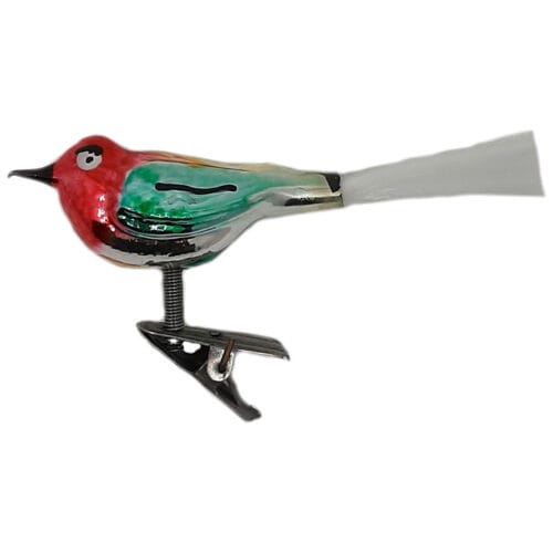 Glasvogel mit kurzem Schnabel