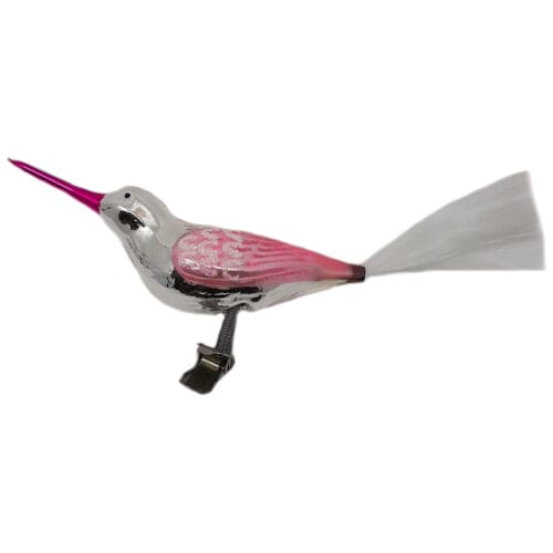 Glasvogel mit langem Schnabel