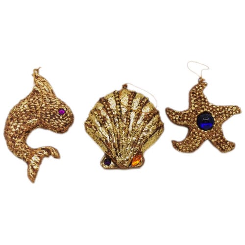 Muschel, Fisch & Seestern