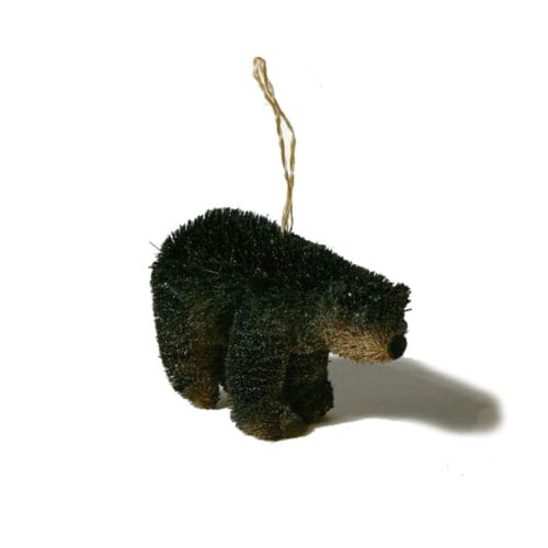 Brown bear